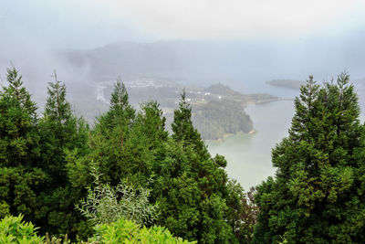 Scenic view of forest against sky