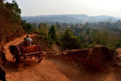 Rear view of man driving cart along dirt road