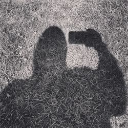 Shadow of person on wall