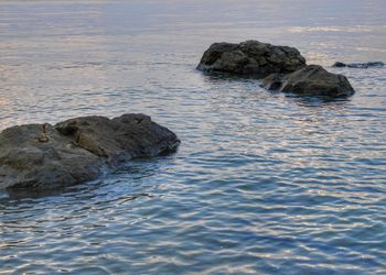 High angle view of rock formation in sea