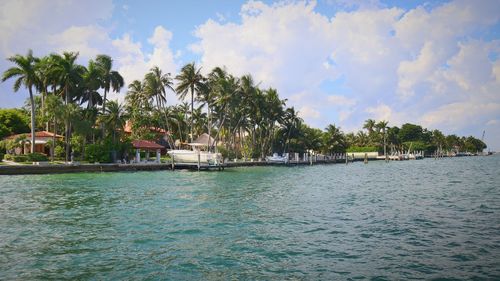 Scenic view of palm trees by sea against sky