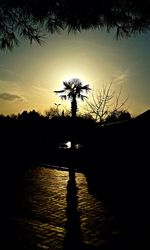 Silhouette palm trees against sky at dusk