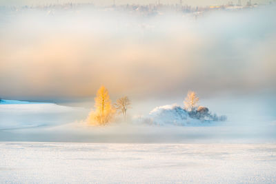 Scenic view of frozen lake 