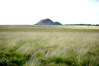 Scenic view of grassy field against sky