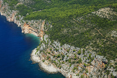 High angle view of trees by sea