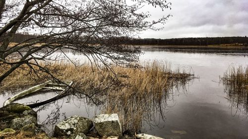 Reflection of tree in lake against sky