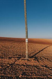 Scenic view of field against clear blue sky