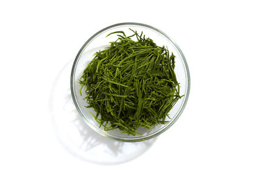 Directly above shot of green plant against white background