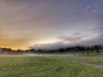 Scenic view of field against sky