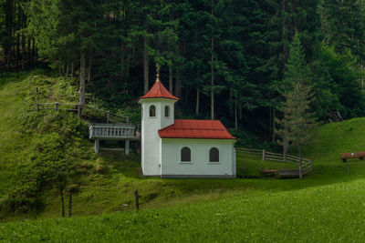 House amidst trees and plants in forest