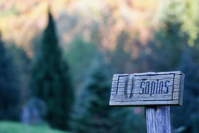 Close-up of information sign against trees