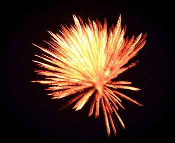 Low angle view of firework display at night