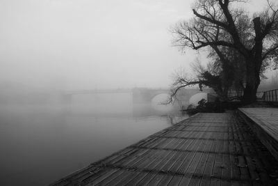 Bare trees by river against sky