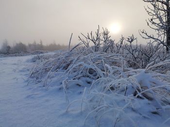 Snow covered field against sky during sunset