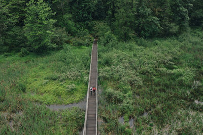 A young couple enjoys a hike on a boardwalk in the pacific northwest.