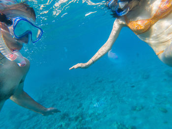 Couple snorkeling underwater with fishes and jellyfishes in the red sea