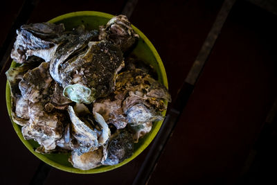 Steamed oysters in plate at home