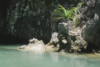 Scenic view of waterfall