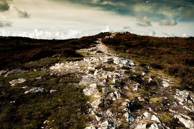 Surface level of landscape against the sky