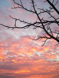 Low angle view of silhouette tree against sky during sunset