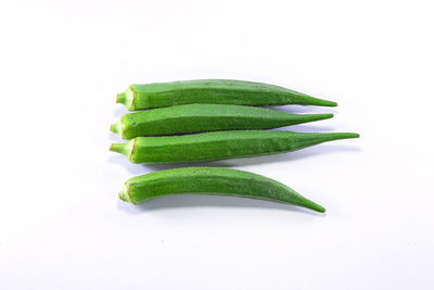 High angle view of green leaf on white background