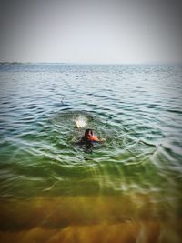 Person swimming in sea against sky