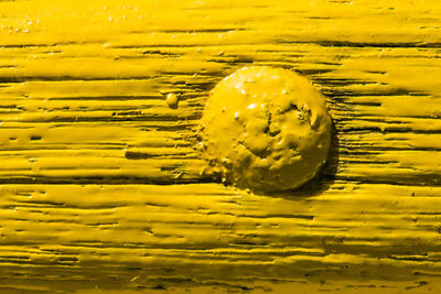 Full frame shot of wet yellow flower