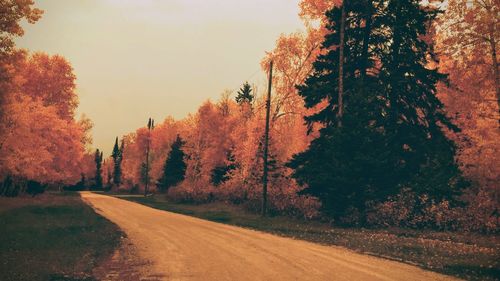 Road amidst trees against sky during autumn