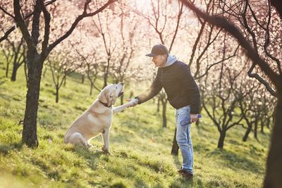 Man with dog standing on field in forest