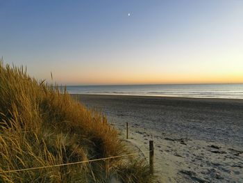 Scenic view of sea against clear sky during sunset