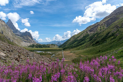 Scenic view of flowering plants and mountains against sky