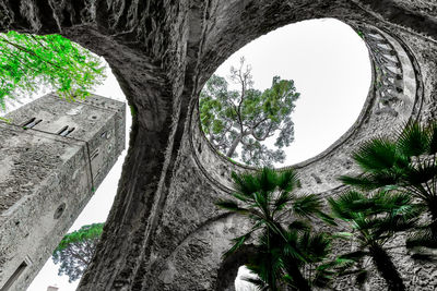 Low angle view of trees against sky