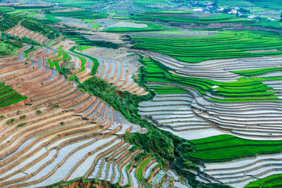 High angle view of terraced field