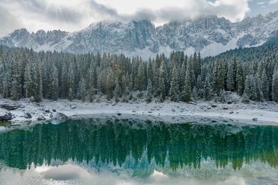 Panoramic view of lake and trees against sky