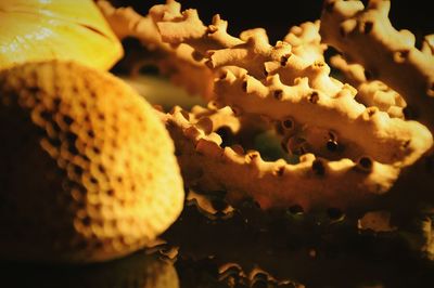 Close-up of cookies on table