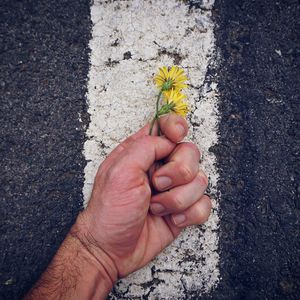 Close-up of hand holding yellow flowers on road