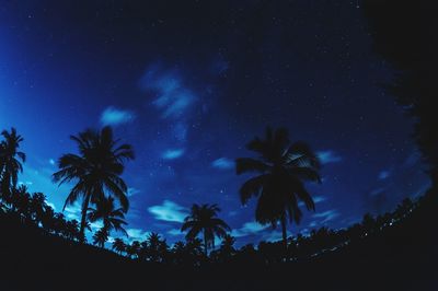 Low angle view of tree against star field