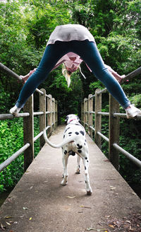 Woman playing with dalmatian