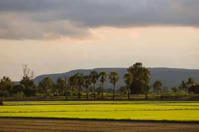 Scenic view of field against sky during sunset