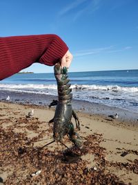 Cropped hand of woman holding seafood on beach against sky