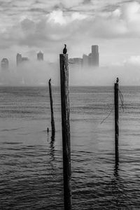 Wooden posts on sea against sky