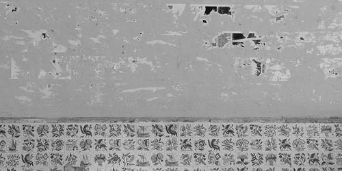 Birds flying against sky