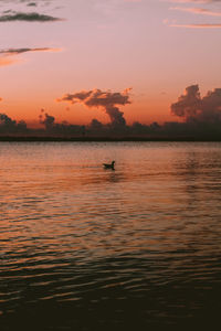 Silhouette person in sea against sky during sunset