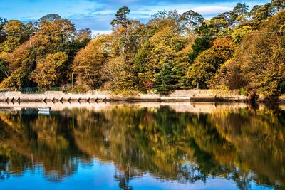 Scenic view of lake in forest against sky