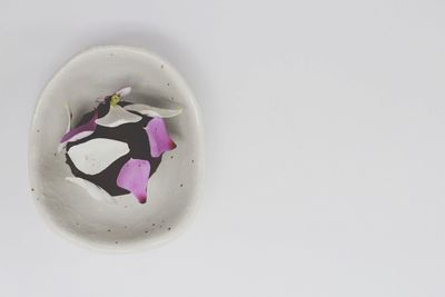 Close-up of pink flower over white background