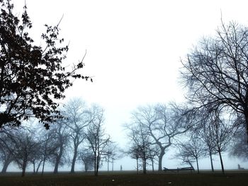 Low angle view of trees on field against clear sky