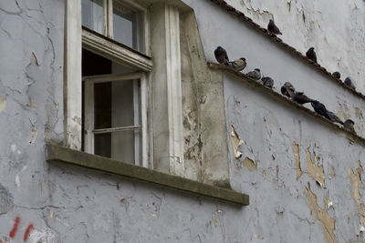 Low angle view of window on old building