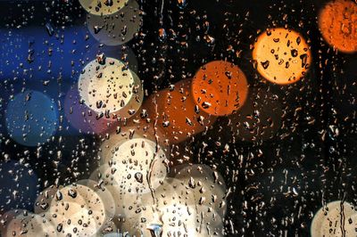 Close-up of wet window