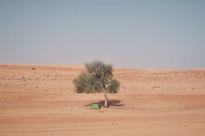 Scenic view of desert against clear sky