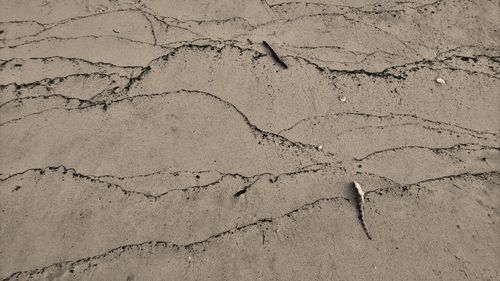 Full frame shot of sand